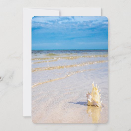 Beach Weaves String Lights Seashell UAWG Einladung (Rückseite)