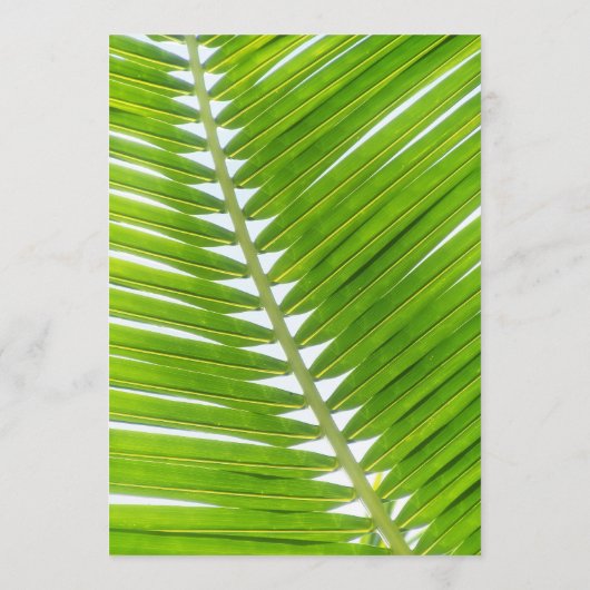 Beach Wedding Cool Mojito Palm Blätter Die offene Menükarte (Rückseite)