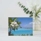 Beach Wedding Ocean Tahiti Blume Postkarte (Stehend Vorderseite)