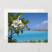 Beach Wedding Ocean Tahiti Blume Postkarte (Vorne/Hinten)