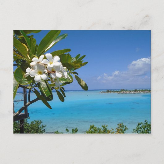 Beach Wedding Ocean Tahiti Blume Postkarte (Vorderseite)