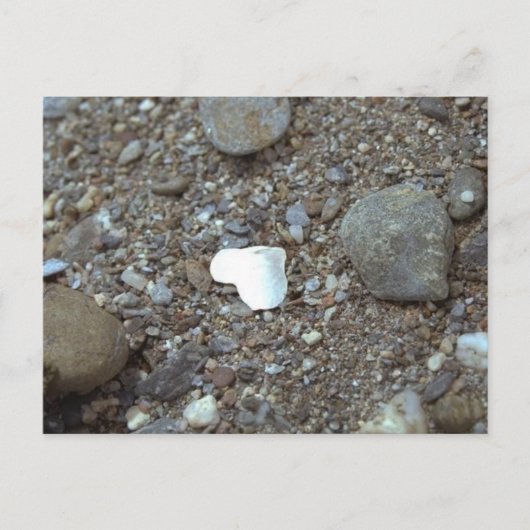 Beach Wedding Seashell Heart Postkarte (Vorderseite)