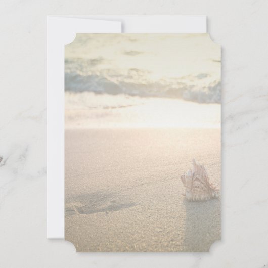 Beach Wedding, Seashell String Lights Empfang Einladung (Rückseite)