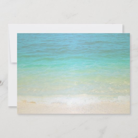 Beach Wedding Seashells Save the Date (Rückseite)