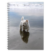 Beach Westie Reflection Foto Notebook Notizblock (Vorderseite)