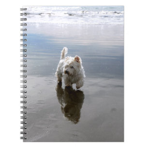Beach Westie Reflection Foto Notebook Notizblock