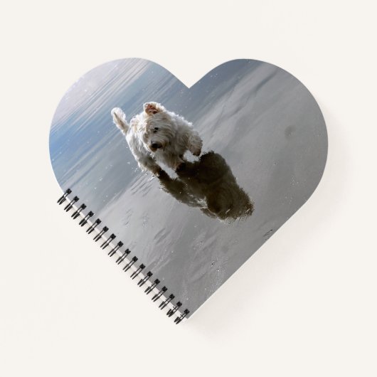 Beach Westie Reflection Foto Notebook Notizblock (Vorderseite)