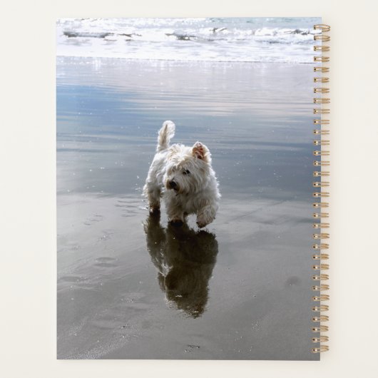 Beach Westie Reflection Foto Planer (Rückseite)