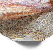 Beach White Sand Seashells Poster (Ecke)