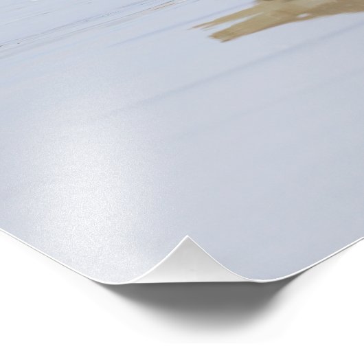 Beach Willet Fotodruck (Ecke)