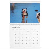 Beachbum Bulldogs und andere Abenteuer Kalender (Jan 2027)