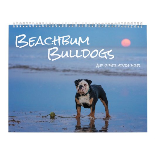 Beachbum Bulldogs und andere Abenteuer Kalender (Titelbild)