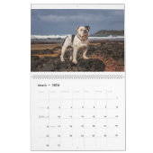 Beachbum Bulldogs und andere Abenteuer Kalender (Mär 2026)