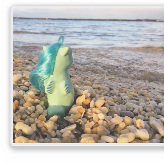 Beachcomber Baby Sea Pony at the Beach Aufkleber (Vorderseite)