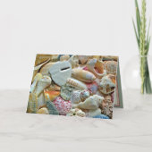 Beachcomber Seashell Collection Leere Mitteilungsk Karte (Vorderseite)