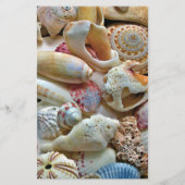 Beachcombers Seashell 5x8 Custom Wedding Programm (Rückseite)