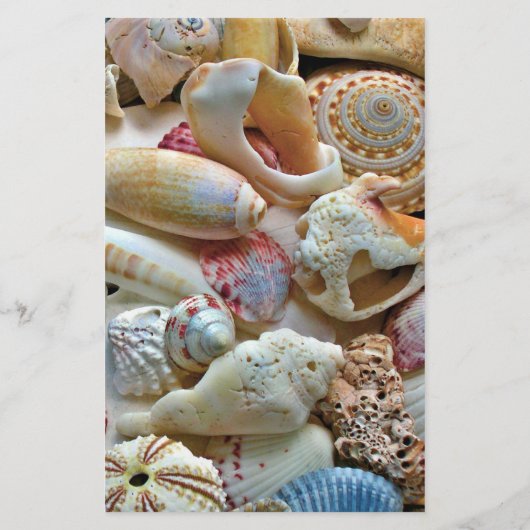 Beachcombers Seashell 5x8 Custom Wedding Programm (Rückseite)