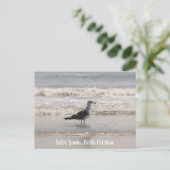 Beachcoming Sea Gull OBX Postkarte (Stehend Vorderseite)
