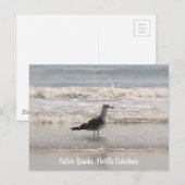 Beachcoming Sea Gull OBX Postkarte (Vorne/Hinten)