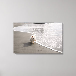 Beachcoming Westie Canvas Print Leinwanddruck