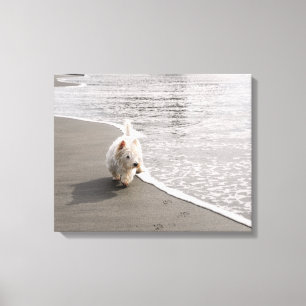 Beachcoming Westie Foto Canvas Print Leinwanddruck