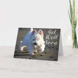 Beachcoming Westie Foto Card zum Wohlfühlen Dankeskarte