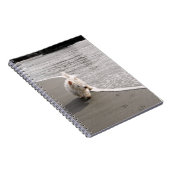 Beachcoming Westie Foto Spiral Notebook Notizblock (Rechte Seite)