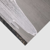 Beachcoming Westie Foto Tissue Paper Seidenpapier (Detail)