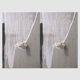 Beachcoming Westie Foto Tissue Paper Seidenpapier