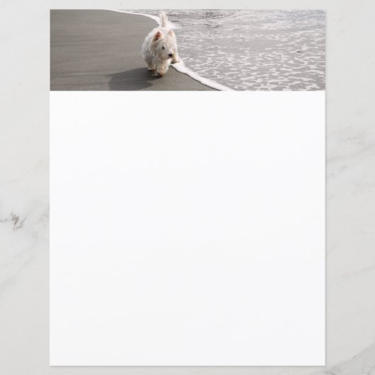Beachcoming White Westie Dog Foto Stationery (Vorderseite)