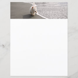 Beachcoming White Westie Dog Foto Stationery