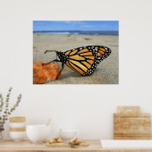 Beached Butterfly von TDGallery Poster (Küche)