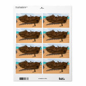 Beached Shipwreck (Vorne)