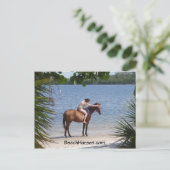 BeachHorses.com Postkarte (Stehend Vorderseite)