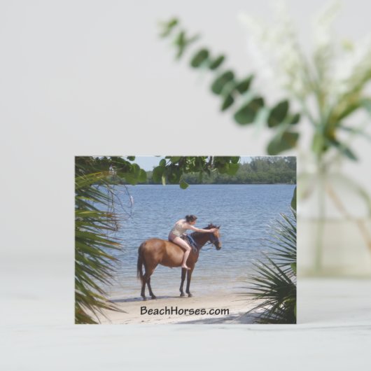 BeachHorses.com Postkarte (Stehend Vorderseite)