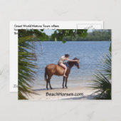 BeachHorses.com Postkarte (Vorne/Hinten)