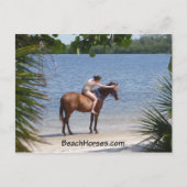 BeachHorses.com Postkarte (Vorderseite)