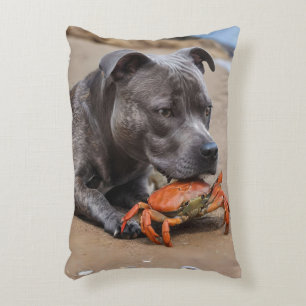 "Beachside Pals: Ein Staffy und sein Krabbenbeglei Dekokissen