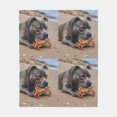 "Beachside Pals: Ein Staffy und sein Krabbenbeglei Fleecedecke (Vorderseite)