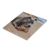 "Beachside Pals: Ein Staffy und sein Krabbenbeglei Fliese (Seite)