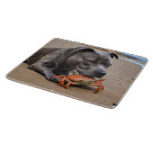 "Beachside Pals: Ein Staffy und sein Krabbenbeglei Schneidebrett (Ecke)