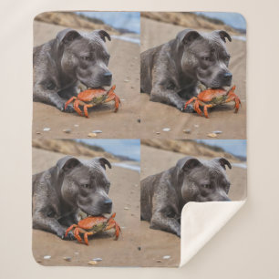 "Beachside Pals: Ein Staffy und sein Krabbenbeglei Sherpadecke