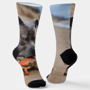 "Beachside Pals: Ein Staffy und sein Krabbenbeglei Socken