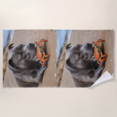 "Beachside Pals: Ein Staffy und sein Krabbenbeglei Strandtuch (Vorderseite)