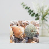 BeachSouvenirs Postkarte (Stehend Vorderseite)