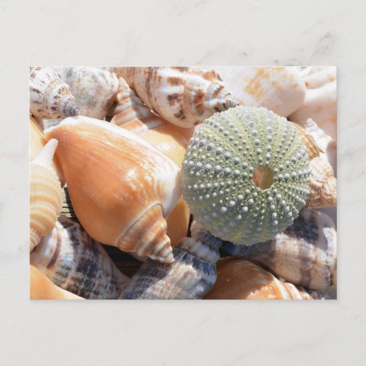 BeachSouvenirs Postkarte (Vorderseite)