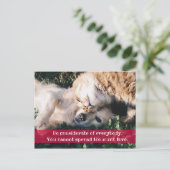 Beachten Sie die Postkarte (Stehend Vorderseite)