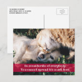 Beachten Sie die Postkarte (Vorne/Hinten)