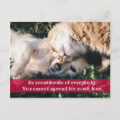 Beachten Sie die Postkarte (Vorderseite)