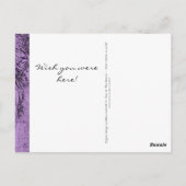 Beachwalker Collage Violet Foto Frame Postkarte (Rückseite)